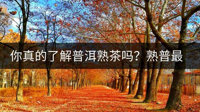 你真的了解普洱熟茶嗎？熟普最詳細(xì)的揭秘都在這里了。