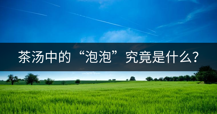 茶湯中的“泡泡”究竟是什么？