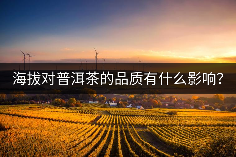 海拔對(duì)普洱茶的品質(zhì)有什么影響？