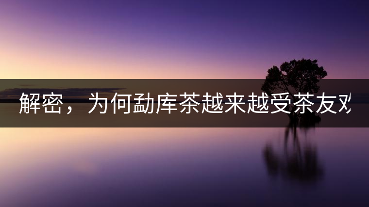 解密，為何勐庫茶越來越受茶友歡迎！