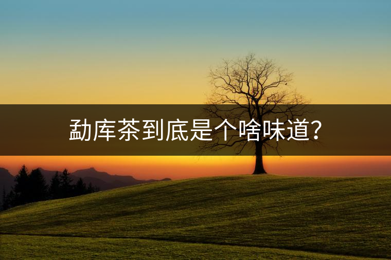 勐庫(kù)茶到底是個(gè)啥味道？