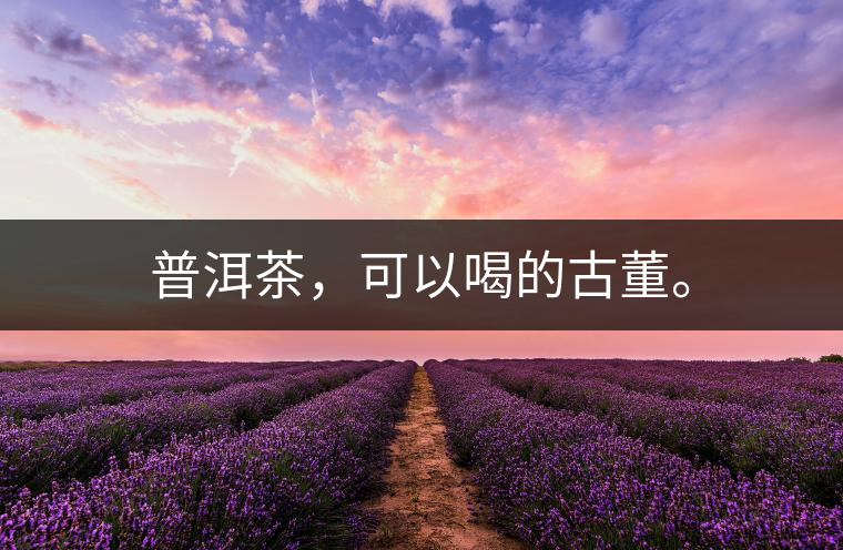 普洱茶，可以喝的古董。