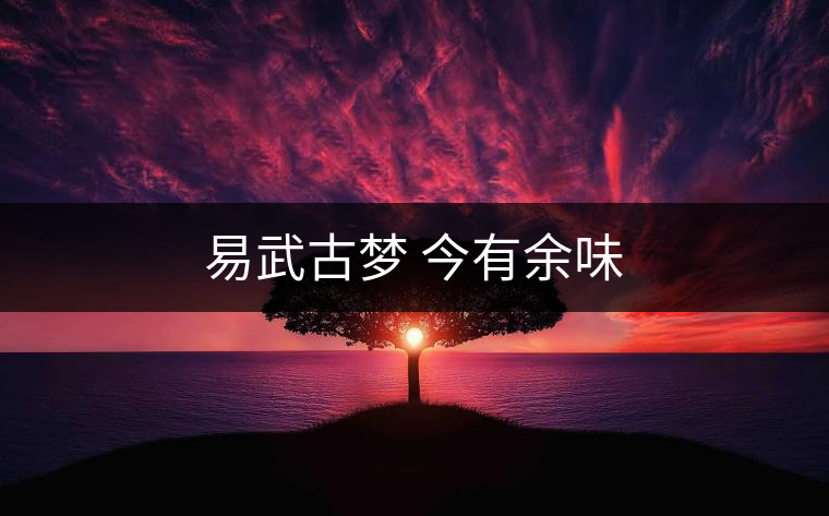 易武古夢(mèng) 今有余味 易武古夢(mèng) 今有余味
