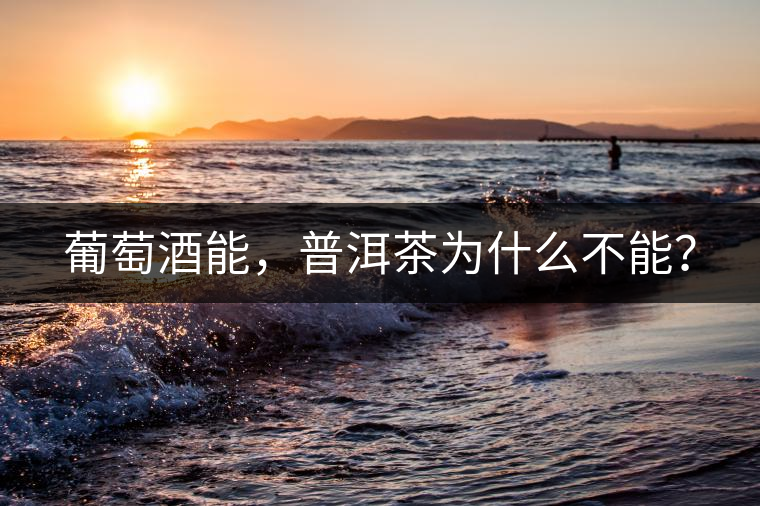 葡萄酒能，普洱茶為什么不能？
