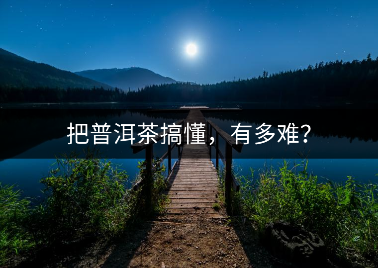 把普洱茶搞懂，有多難？