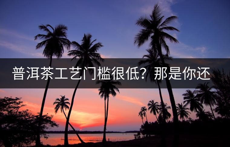 普洱茶工藝門檻很低？那是你還沒有參透工藝與自然之間的奧秘！