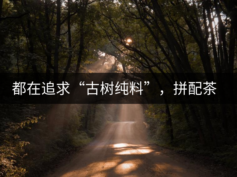 都在追求“古樹(shù)純料”，拼配茶真的不如純料的？