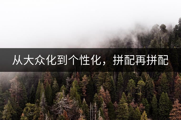 從大眾化到個(gè)性化，拼配再拼配