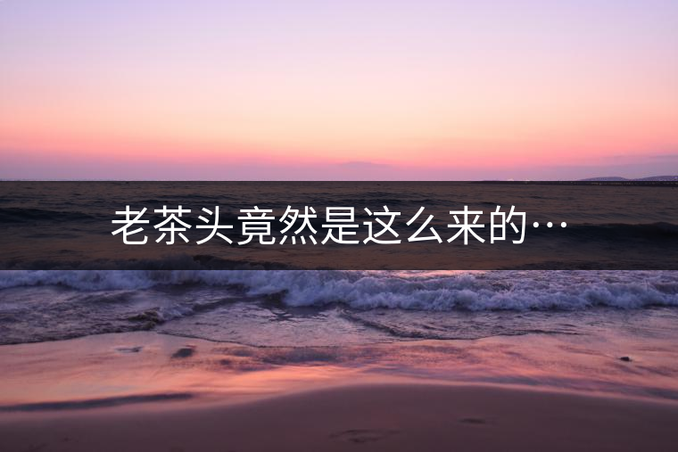 老茶頭竟然是這么來(lái)的…