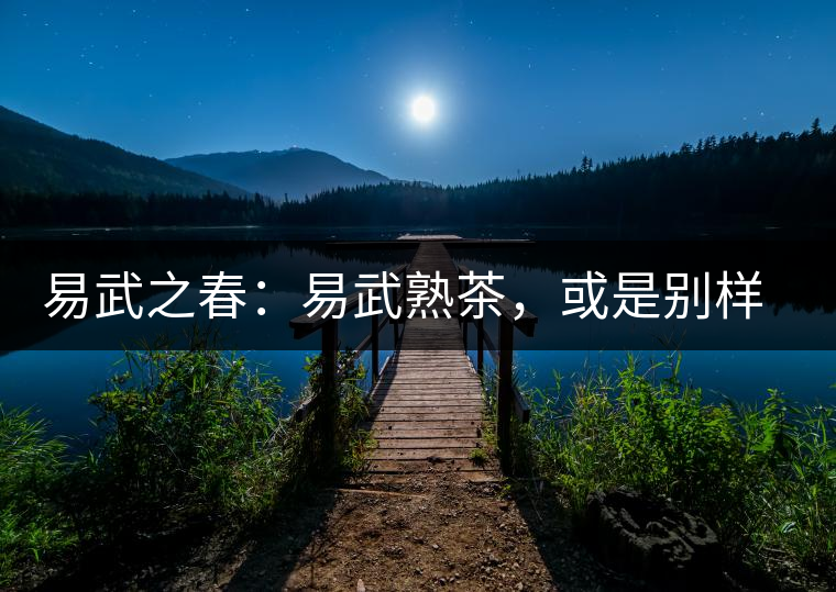 易武之春：易武熟茶，或是別樣風(fēng)采丨賞鑒