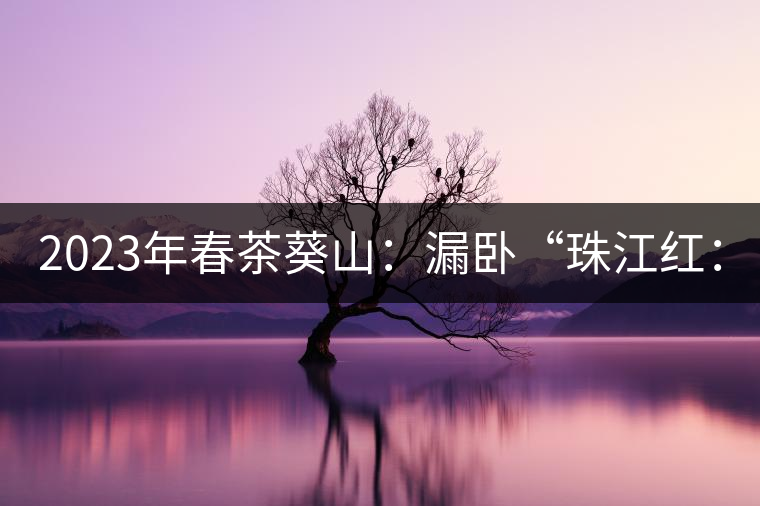 2023年春茶葵山：漏臥“珠江紅：1200元-3200元（有3個(gè)檔次）漏臥“大廠茶”：古樹(shù)單株8600-9000元／公斤，中樹(shù)4800-5200元／公斤，小樹(shù)混采2600-2800元／公斤。