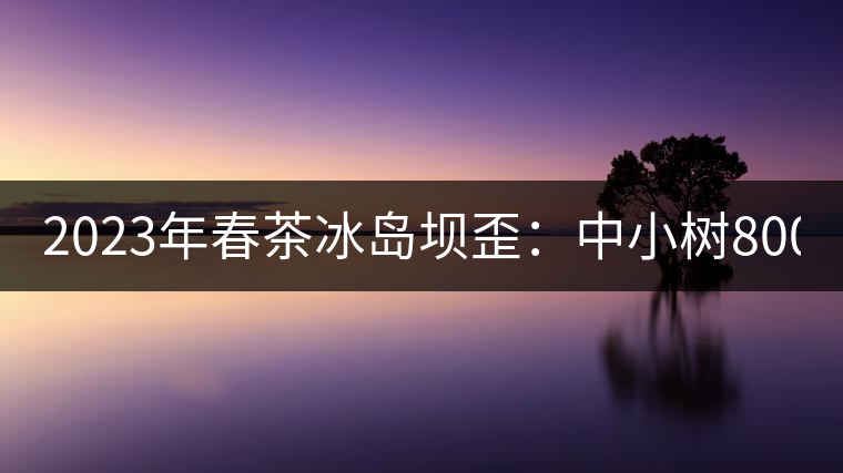 2023年春茶冰島壩歪：中小樹800元／公斤，古樹1400-1600元／公斤