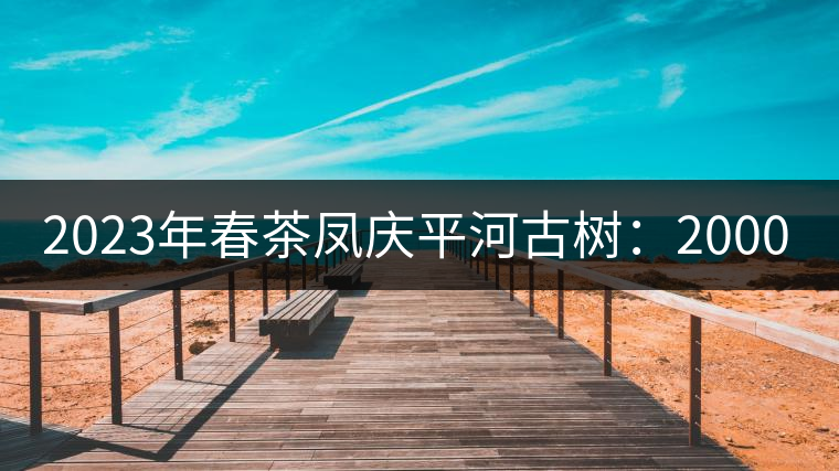 2023年春茶鳳慶平河古樹(shù):2000-2500/公斤 2023年春茶鳳慶平河古樹(shù):2000-2500/公斤