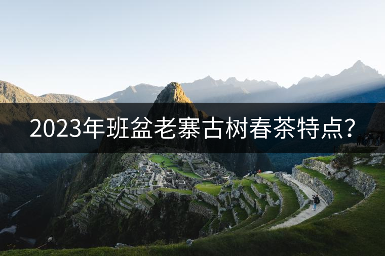 2023年班盆老寨古樹(shù)春茶特點(diǎn)？