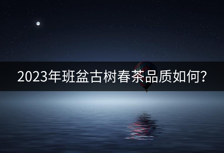 2023年班盆古樹春茶品質(zhì)如何？