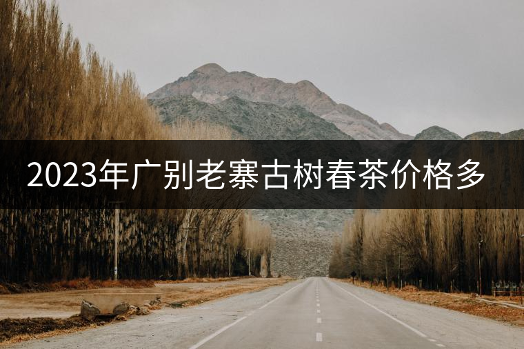 2023年廣別老寨古樹春茶價格多少？