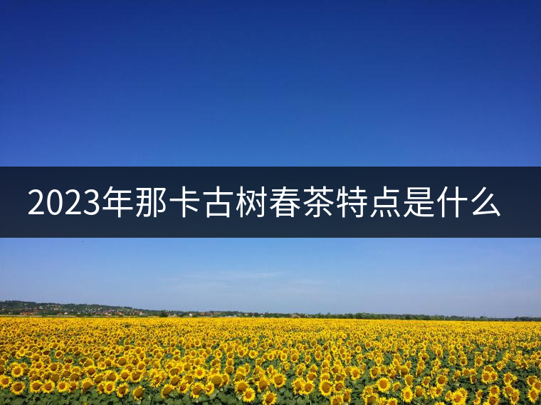 2023年那卡古樹春茶特點(diǎn)是什么？