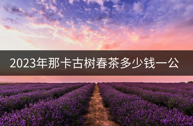 2023年那卡古樹春茶多少錢一公斤？