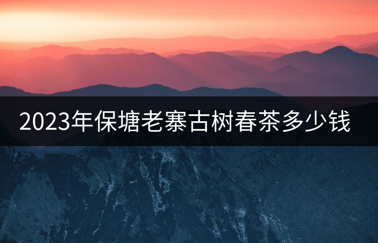 2023年保塘老寨古樹(shù)春茶多少錢一公斤？