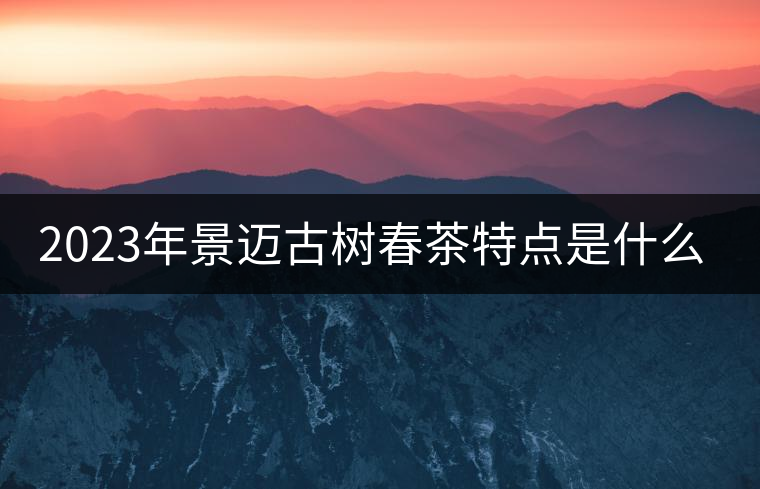 2023年景邁古樹春茶特點(diǎn)是什么？