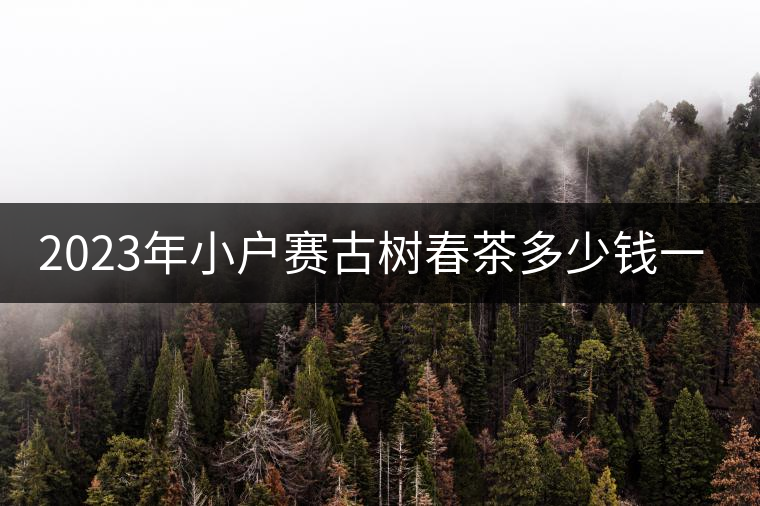 2023年小戶賽古樹春茶多少錢一公斤？