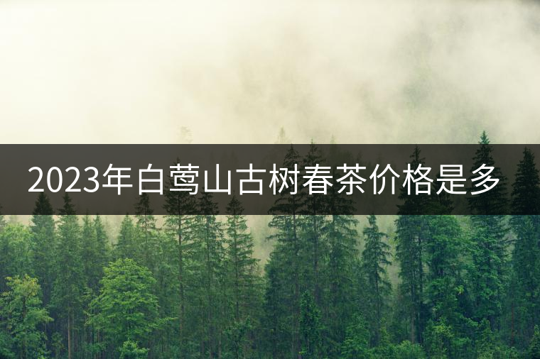 2023年白鶯山古樹春茶價(jià)格是多少？