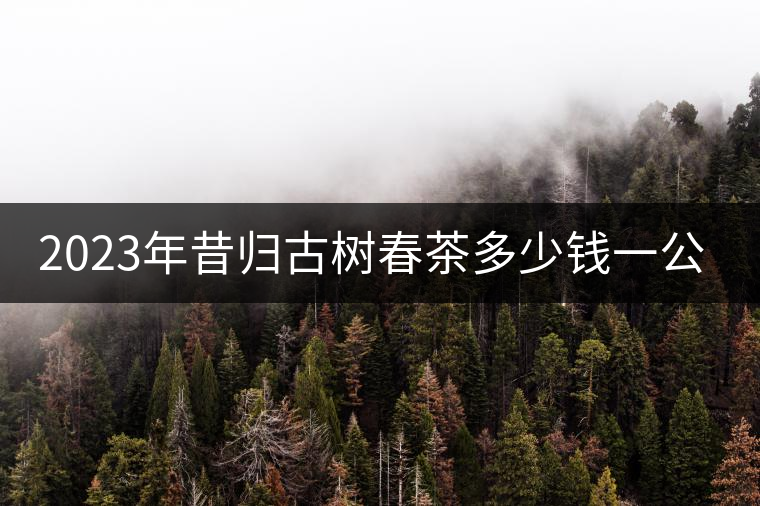 2023年昔歸古樹春茶多少錢一公斤？