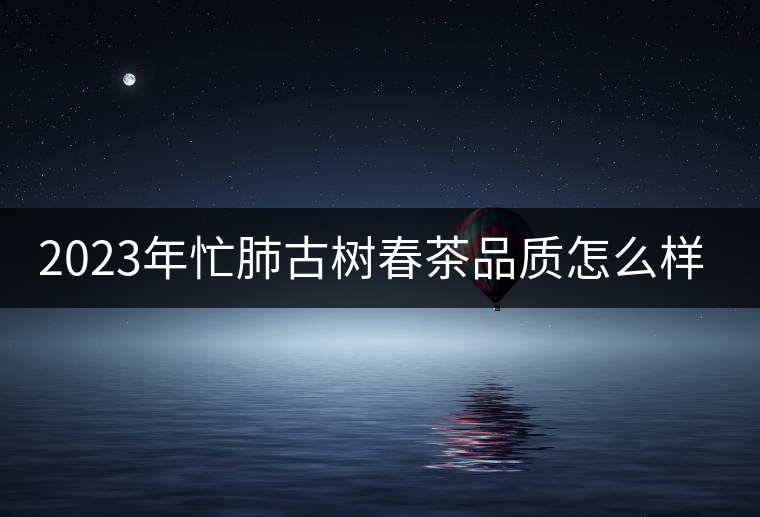 2023年忙肺古樹春茶品質(zhì)怎么樣？
