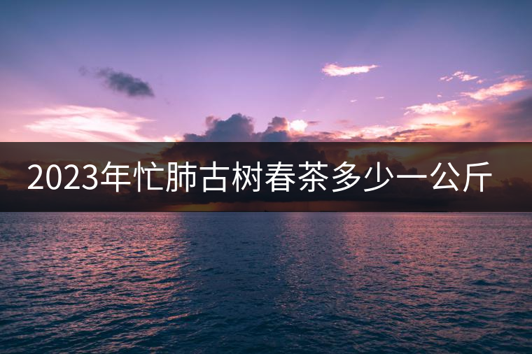 2023年忙肺古樹(shù)春茶多少一公斤？