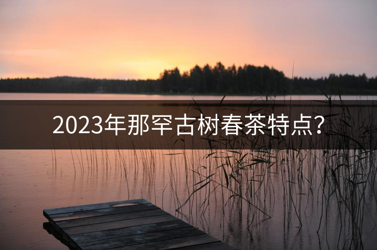 2023年那罕古樹春茶特點(diǎn)？