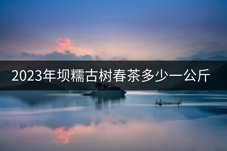 2023年壩糯古樹春茶多少一公斤？