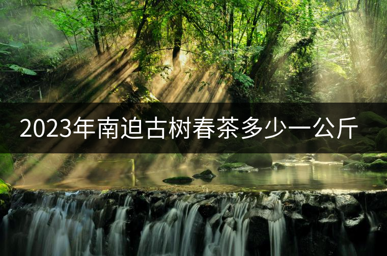 2023年南迫古樹春茶多少一公斤？