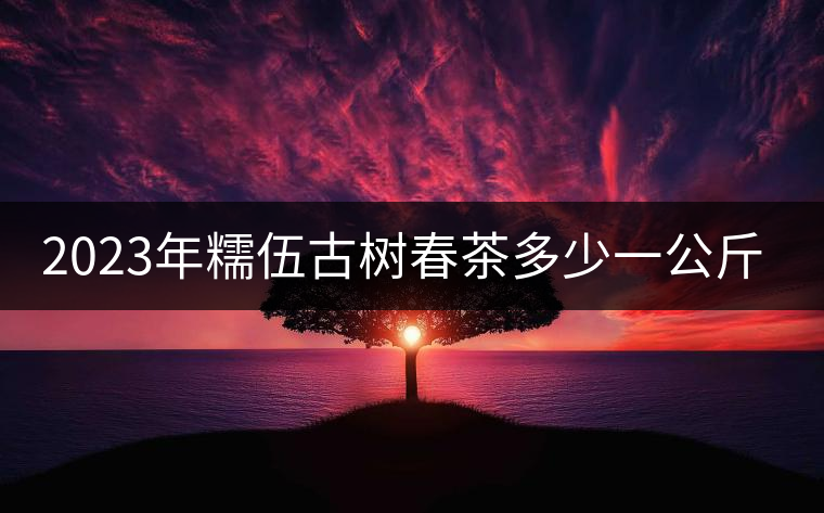 2023年糯伍古樹春茶多少一公斤？