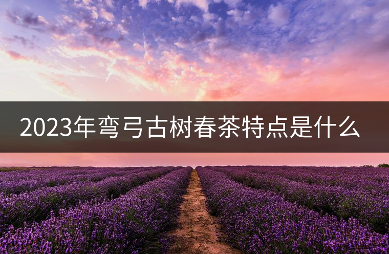 2023年彎弓古樹春茶特點是什么？