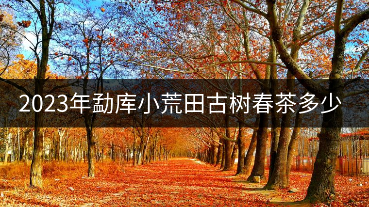 2023年勐庫小荒田古樹春茶多少一公斤？