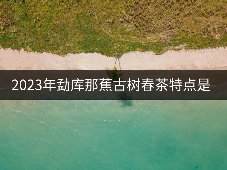 2023年勐庫那蕉古樹春茶特點(diǎn)是什么？