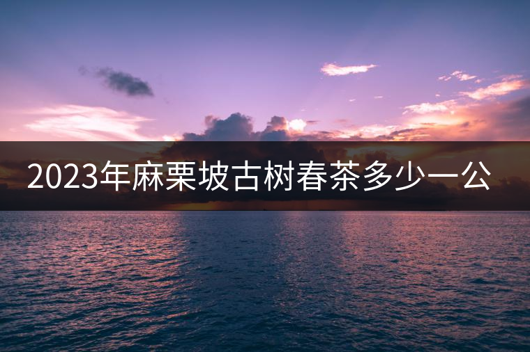 2023年麻栗坡古樹春茶多少一公斤？