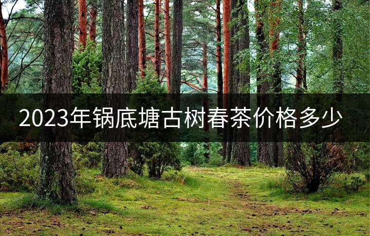 2023年鍋底塘古樹春茶價格多少？