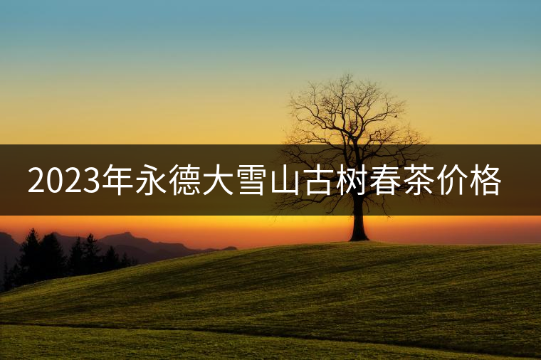 2023年永德大雪山古樹春茶價格是多少？