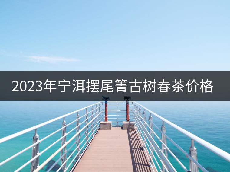 2023年寧洱擺尾箐古樹春茶價(jià)格是多少？