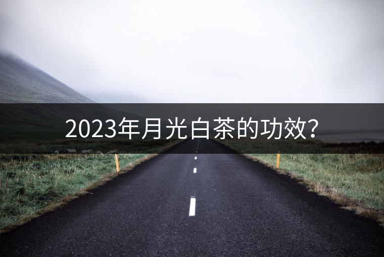 2023年月光白茶的功效？