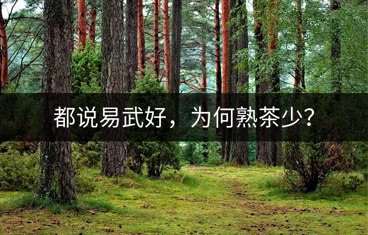 都說(shuō)易武好，為何熟茶少？