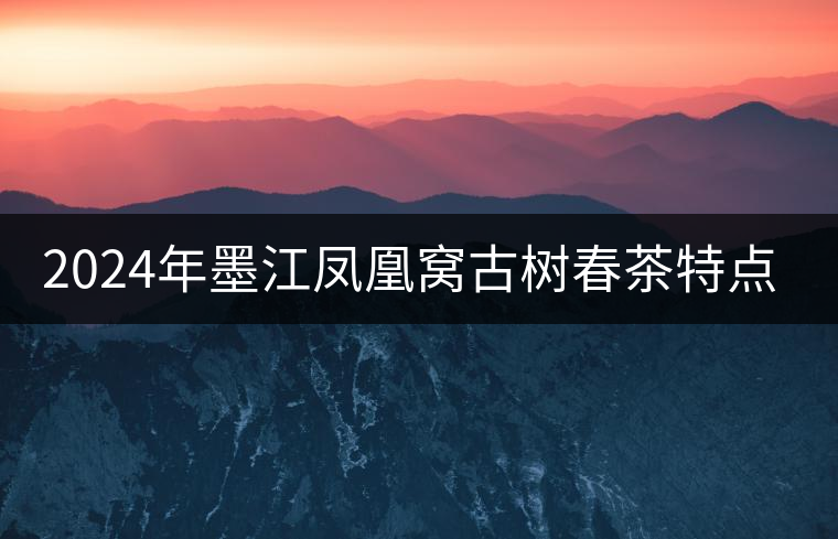 2024年墨江鳳凰窩古樹春茶特點(diǎn)是什么？