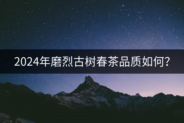 2024年磨烈古樹(shù)春茶品質(zhì)如何？