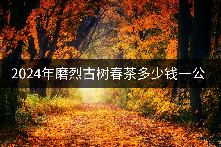 2024年磨烈古樹春茶多少錢一公斤？