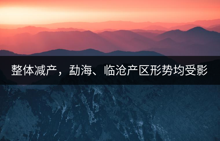 整體減產(chǎn)，勐海、臨滄產(chǎn)區(qū)形勢均受影響