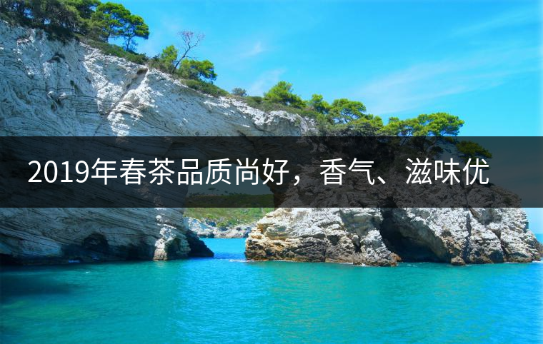 2019年春茶品質(zhì)尚好，香氣、滋味優(yōu)于去年