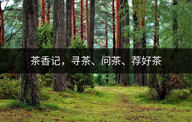 茶香記，尋茶、問茶、薦好茶