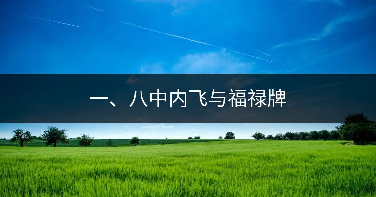 一、八中內飛與福祿牌