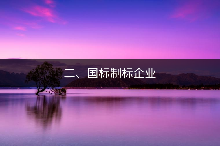 二、國標(biāo)制標(biāo)企業(yè)